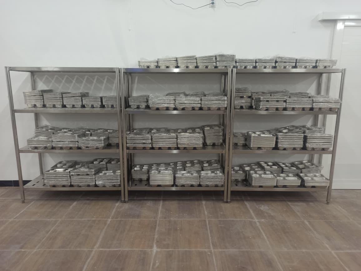 STAINLESS COSTOM